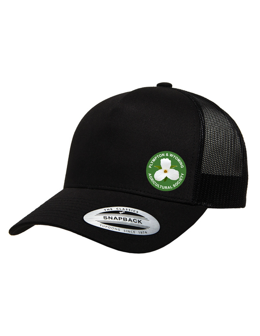 Plympton Wyoming Hat